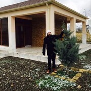 ���������� ��������, ���� ������� Vusal, 33 ����, ������������ ��� ������, ����� � ���������, c�������� ���������