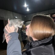 ���������� ������, ���� ������� �������, 23 ����, ������������ ��� ������, ����� � ���������, c�������� ���������, ���������