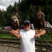 ,   , 56 ,   