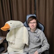 ���������� ������������, ���� ������� ����, 46 ���, ������������ ��� ����� � ���������, c�������� ���������, ���������