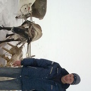  ,   Dima, 46 ,   ,   , c 