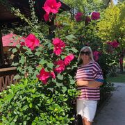 ���������� ���������, ���� ������� ��������, 50 ���, ������������ ��� ���������