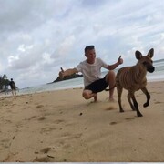 ���������� ������������, ���� ������� �������, 45 ���, ������������ ��� ������, ����� � ���������, c�������� ���������