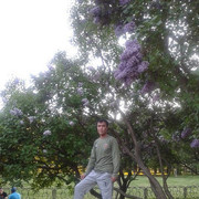 ���������� ����������, ���� ������� �����, 40 ���, ������������ 