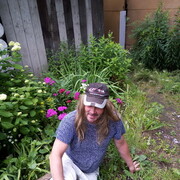 ���������� ������, ���� ������� ������, 50 ���, ������������ ��� ����� � ���������, c�������� ���������