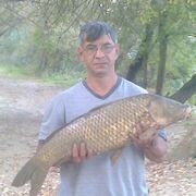 ���������� ������, ���� ������� �������, 53 ����, ������������ ��� ����� � ���������, c�������� ���������