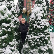 ���������� �����, ���� ������� ���������, 40 ���, ������������ ��� ���������