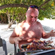 �������� �. �������