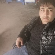 ���������� ������������, ���� ������� �����, 38 ���, ������������ ��� ������, ����� � ���������, c�������� ���������