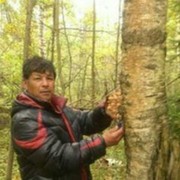 ���������� ������, ���� ������� ������, 60 ���, ������������ ��� ������, ����� � ���������, c�������� ���������