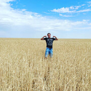 ���������� ������, ���� ������� ����, 26 ���, ������������ ��� ������, ����� � ���������, c�������� ���������, ���������