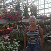 ���������� ��������������, ���� ������� �����, 70 ���, ������������ ��� c�������� ���������