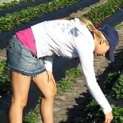 ���������� ������, ���� ������� ���������, 36 ���, ������������ ��� ���������