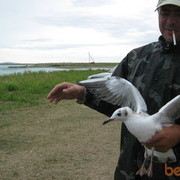 ���������� ������, ���� ������� Sinii70mail, 55 ���, ������������ ��� ������, ����� � ���������, c�������� ���������