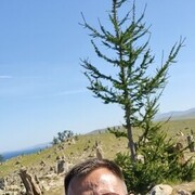 ���������� ������������, ���� ������� �������, 39 ���, ������������ ��� ������, ����� � ���������, c�������� ���������, ���������