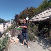 ���������� ����, ���� ������� �������, 46 ���, ������������ ��� ����� � ���������, c�������� ���������