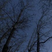 ���������� ������, �������