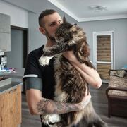 ���������� ������������, ���� ������� �������, 35 ���, ������������ ��� ����� � ���������, c�������� ���������, ���������