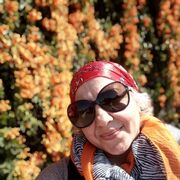  ,   , 54 ,   ,   