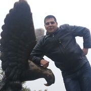 ���������� ������-��-����, ���� ������� ������, 41 ���, ������������ ��� ������, ����� � ���������, c�������� ���������