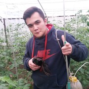 ���������� �������, ���� ������� ���������, 30 ���, ������������ ��� ����� � ���������, c�������� ���������