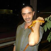 ���������� ������, ���� ������� �������, 46 ���, ������������ ��� ������, ����� � ���������, c�������� ���������