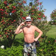 ���������� ����, ���� ������� ALEX, 64 ����, ������������ ��� ������