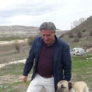  Imranli,  Omar, 60