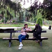  ,   , 44 ,     , c , 