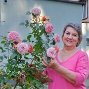 ���������� ������� �����, ���� ������� ������, 58 ���, ������������ ��� ����� � ���������