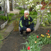 ���������� ���������, ���� ������� ��������, 59 ���, ������������ ��� c�������� ���������