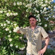 ���������� ������, ���� ������� ����, 47 ���, ������������ ��� ������, ����� � ���������, c�������� ���������