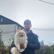 ���������� ����, ���� ������� ����, 40 ���, ������������ ��� ������, ����� � ���������