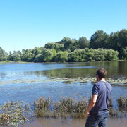 ���������� ���������, ���� ������� �����, 36 ���, ������������ ��� ������, ����� � ���������, c�������� ���������