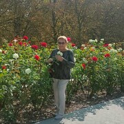 ���������� �����������, ���� ������� ������, 67 ���, ������������ ��� ����� � ���������, c�������� ���������