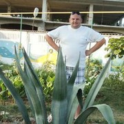 ���������� �����, ���� ������� ��������, 44 ����, ������������ ��� ����� � ���������, c�������� ���������