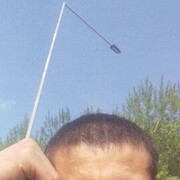  --,   , 36 ,   ,   