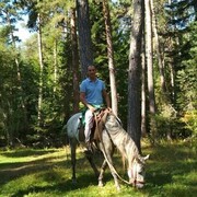 ���������� �������, ���� ������� �������, 38 ���, ������������ ��� ������, ����� � ���������, c�������� ���������