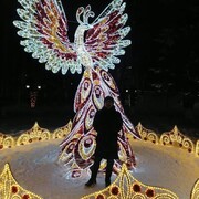  ,   , 49 ,   ,   , c , 