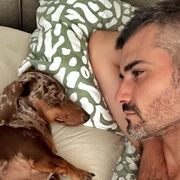 ���������� ��������, ���� ������� ������, 38 ���, ������������ ��� c�������� ���������