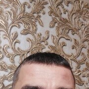  -,   , 41 ,   ,   