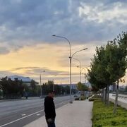 ���������� ������, ���� ������� �����, 44 ����, ������������ ��� ������, ����� � ���������