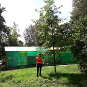  -,   , 51 ,   ,   , c 