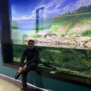 ���������� �����������, ���� ������� Timur, 42 ����, ������������ ��� ������, ����� � ���������, c�������� ���������