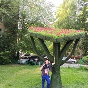 ���������� ������, ���� ������� �����, 31 ���, ������������ ��� ������, ����� � ���������, ���������