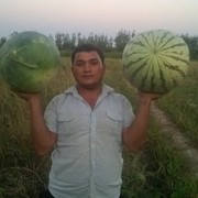  -,   BEK AVAZOV, 33 ,   ,   , c 