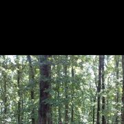 ���������� ��������, ���� ������� ������, 39 ���, ������������ ��� ������, ����� � ���������, c�������� ���������, ���������