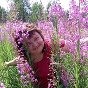  ,   , 53 ,     , c 