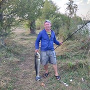 ���������� ���������, ���� ������� ������, 46 ���, ������������ ��� ������, ����� � ���������, c�������� ���������