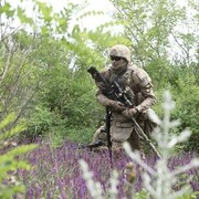 ���������� �����-���������, ���� ������� Alan, 41 ���, ������������ ��� ������, ����� � ���������